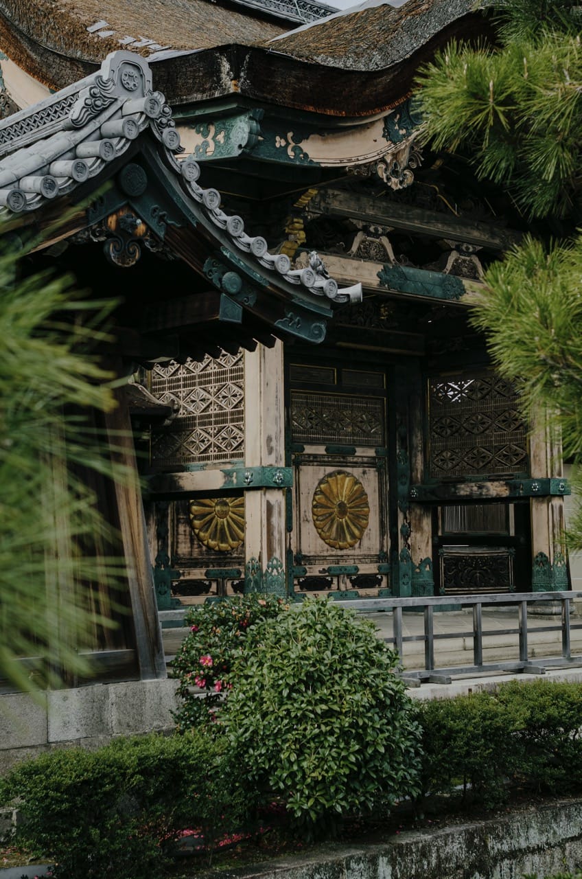 Превью Kyoto 2024